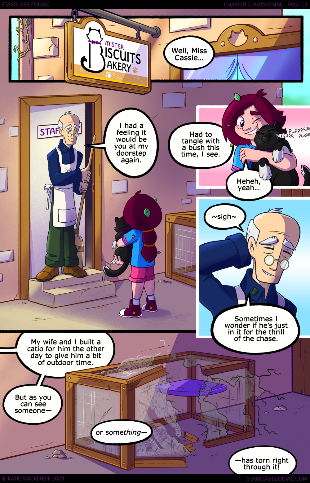 Chapter 1 - Page 13